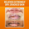 image:imageOKeeffes Lip Repair Unscented Balm Stick for Cracked Lips 6Pack3 Pack Combo